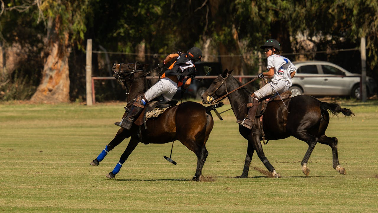 Two polo players competing fiercely on a sunny day, showcasing equestrian skills.
